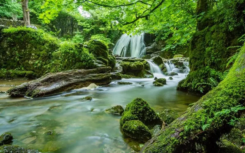 可靠性智能化